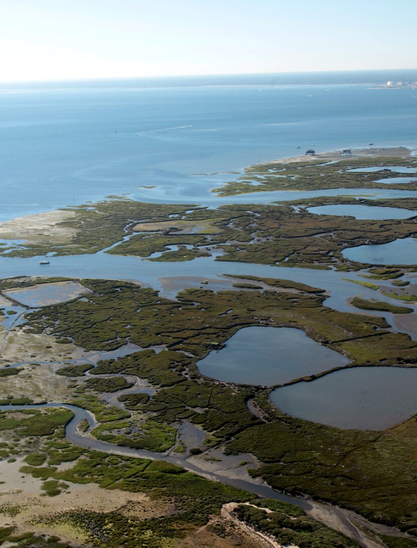 vue aérienne de l'Ile aux oiseaux.