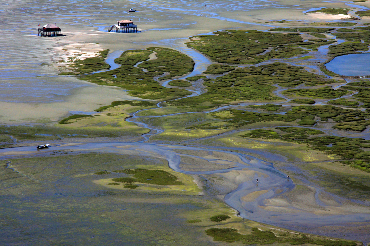 vue aérienne de l'Ile aux oiseaux.