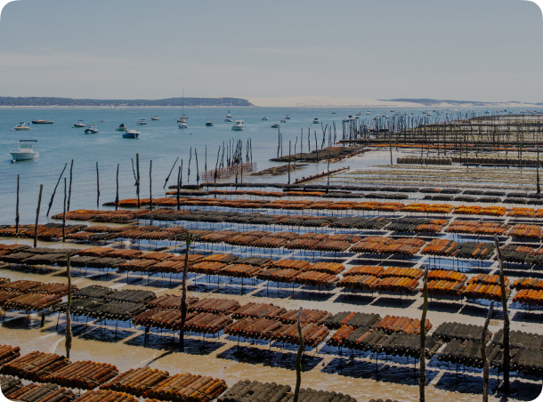 Les parcs à huitres du Cap ferret pendant la marée basse.