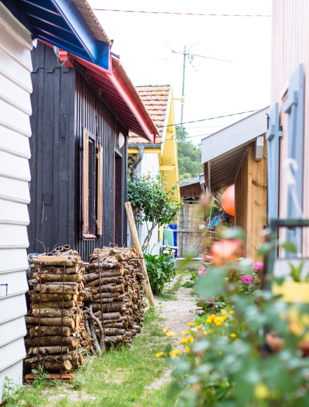 Les cabanes typiques de l'Hôtel des pins.