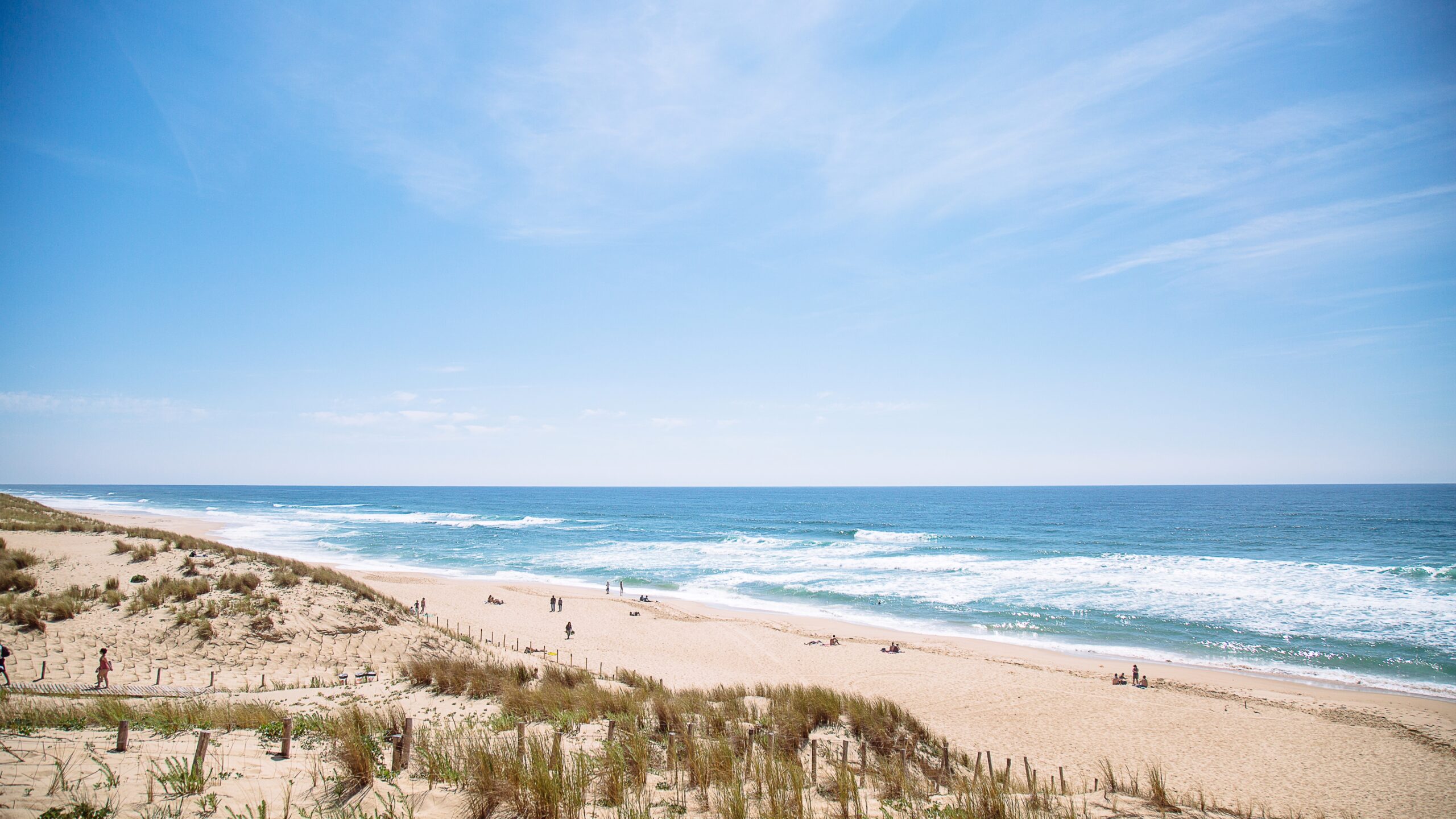Vue sur l'Océan, le Truc Vert.