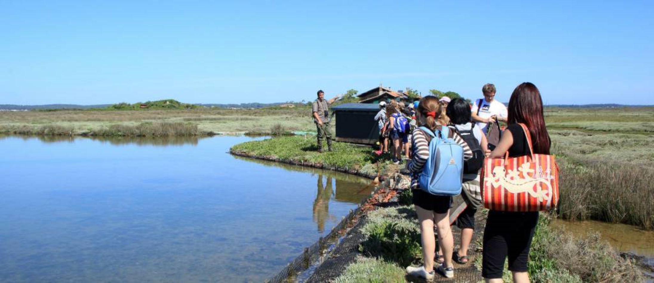 Visite de l'Ile aux oiseaux.