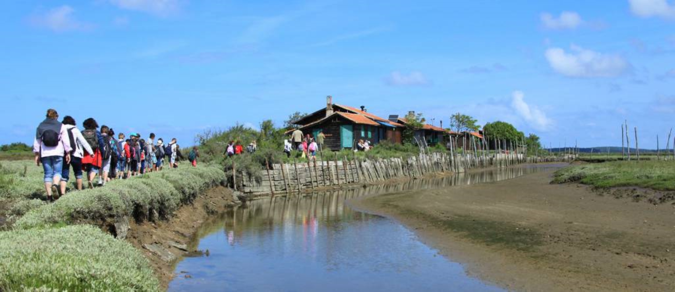 Visite de l'Ile aux oiseaux.