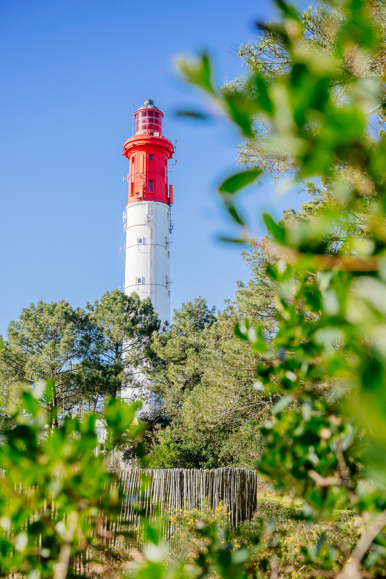 Le phare du Cap Ferret avec de la végétation autour.