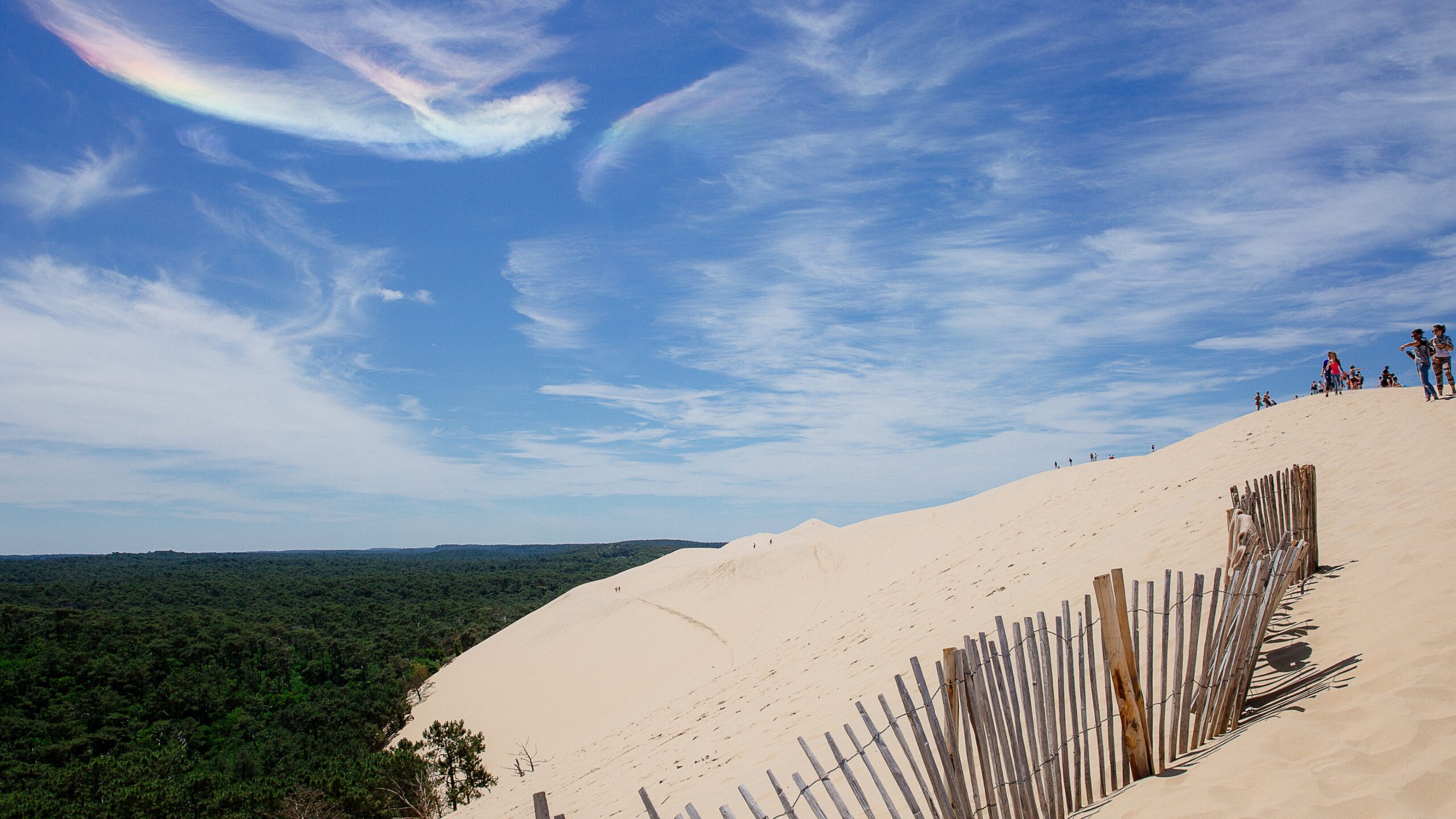 En haut de la Dune de Pilat.
