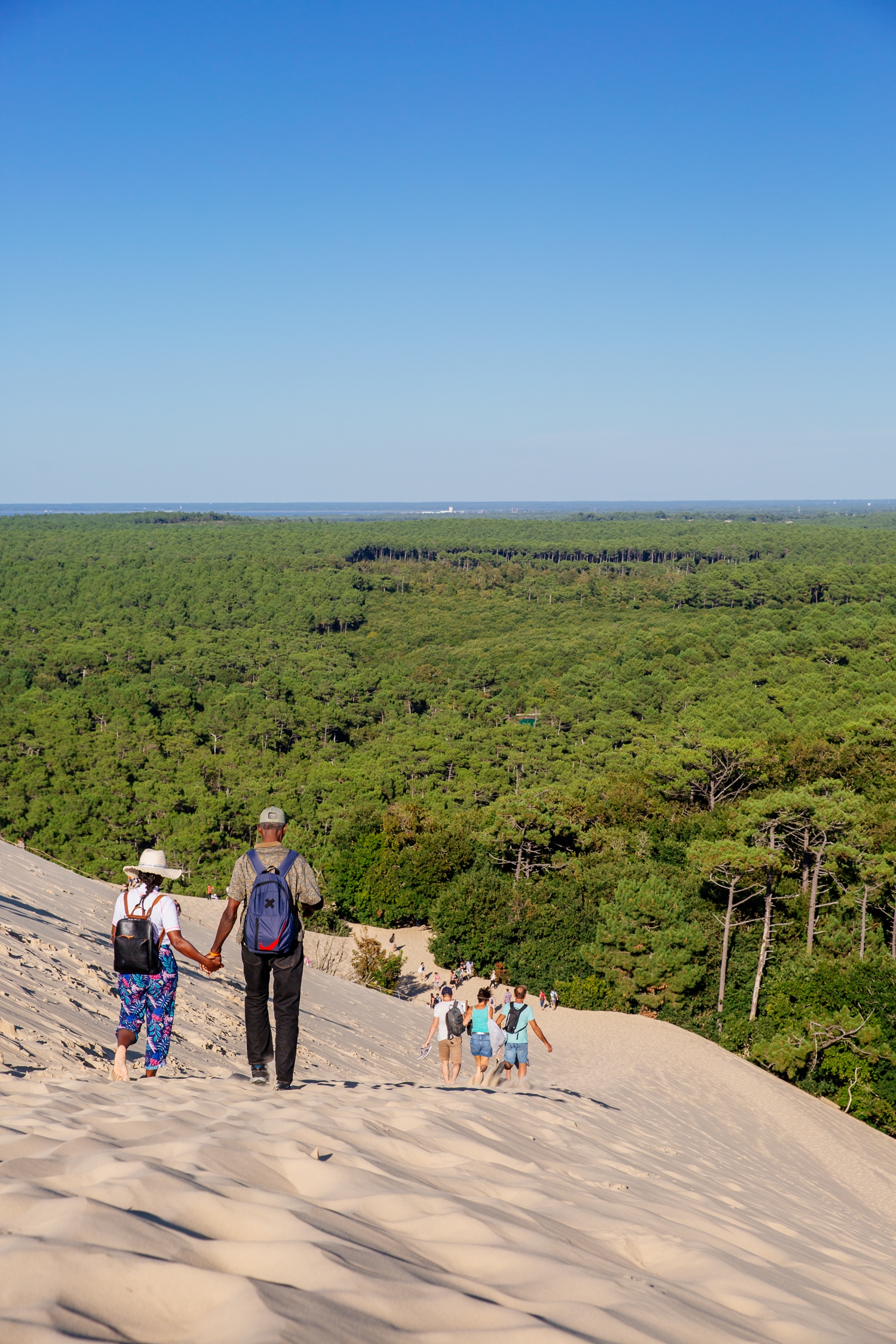 Vue du haut de la Dune du Pilat côté forêt.