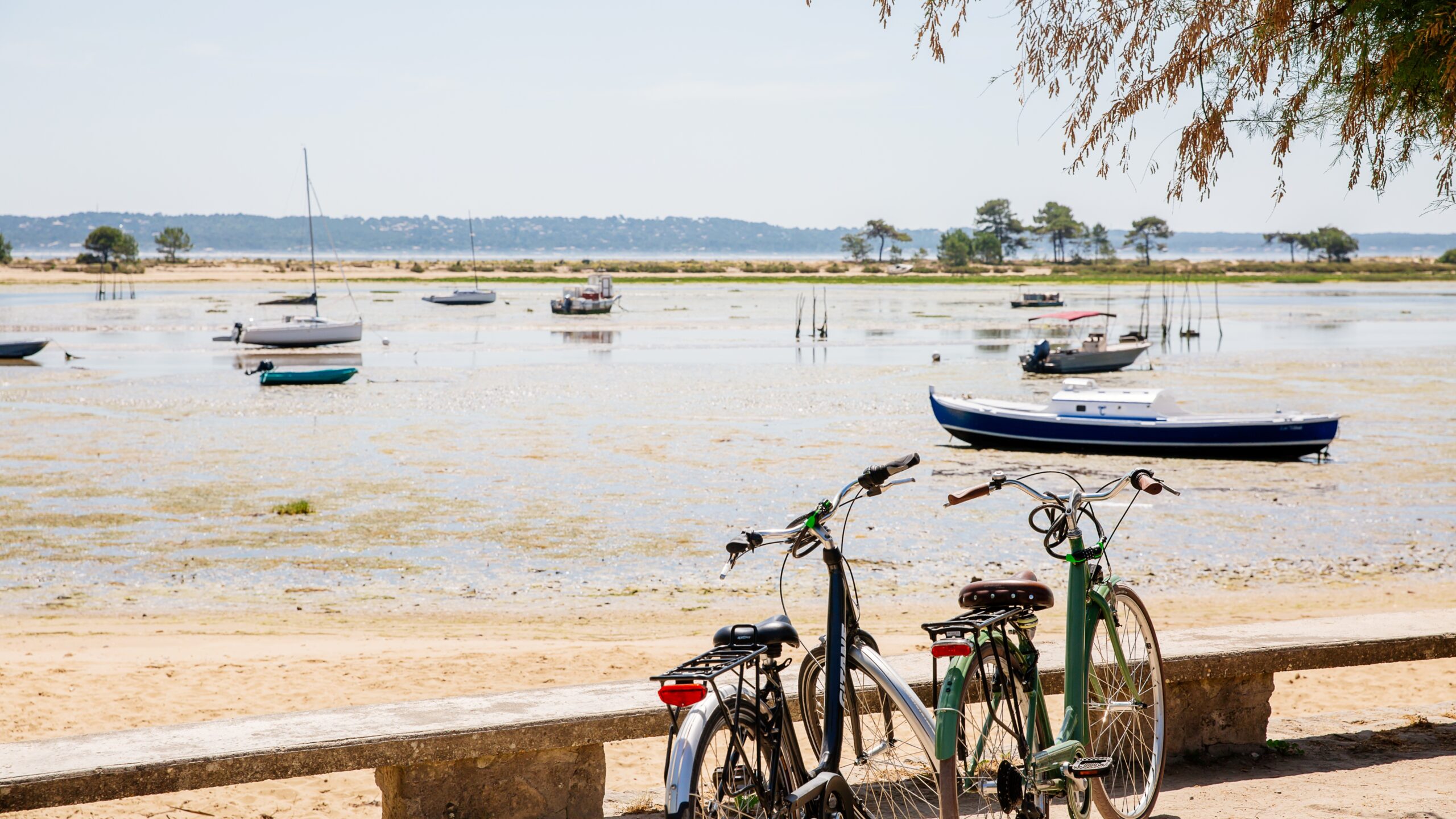 Des vélos posés contre une rambarde, avec le bassin en arrière-plan à marée basse.