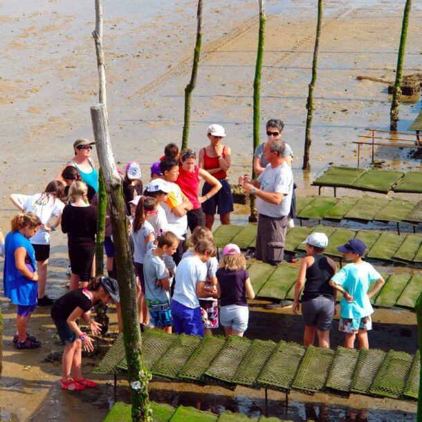 Pendant la marée basse, un groupe de personnes regardent de près les parcs à huîtres.