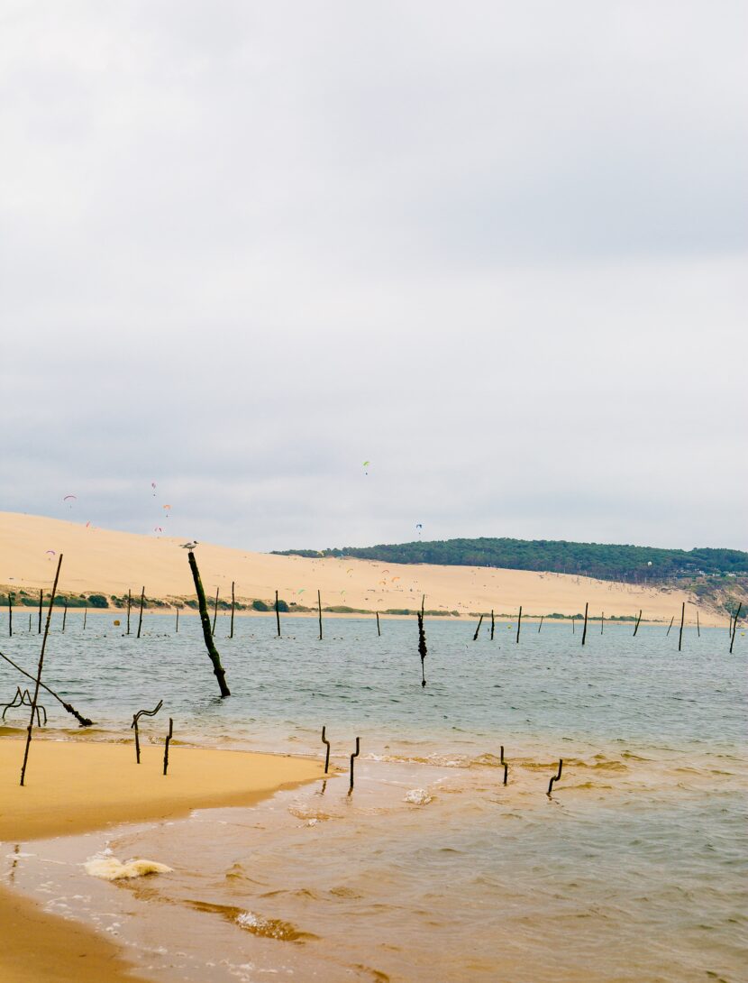 Le banc d'arguin nuageux.