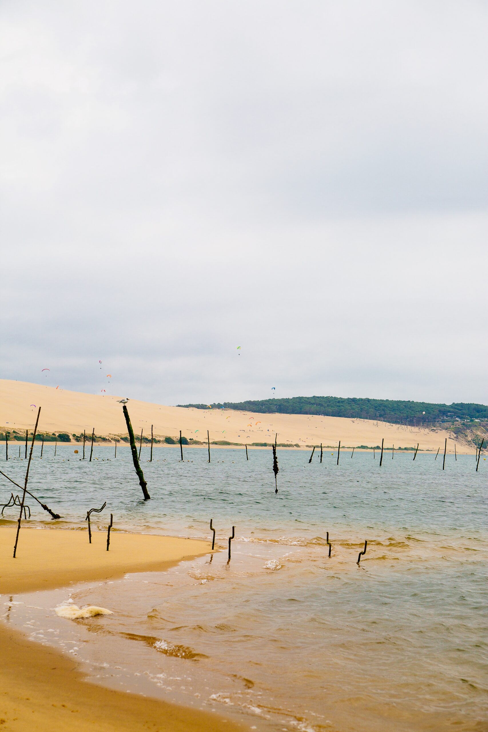 Le banc d'arguin nuageux.