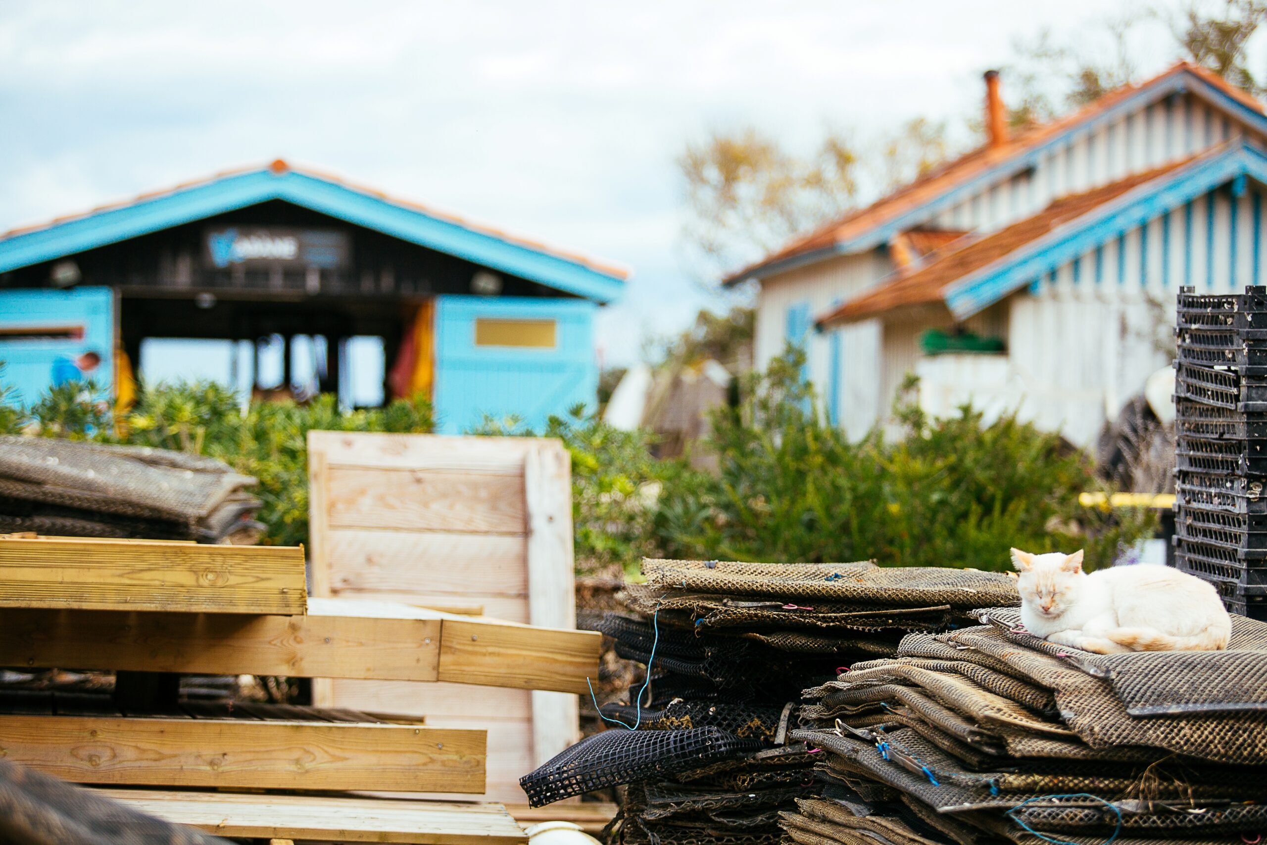 Dans les rues des maisons typiques du Cap Ferret.