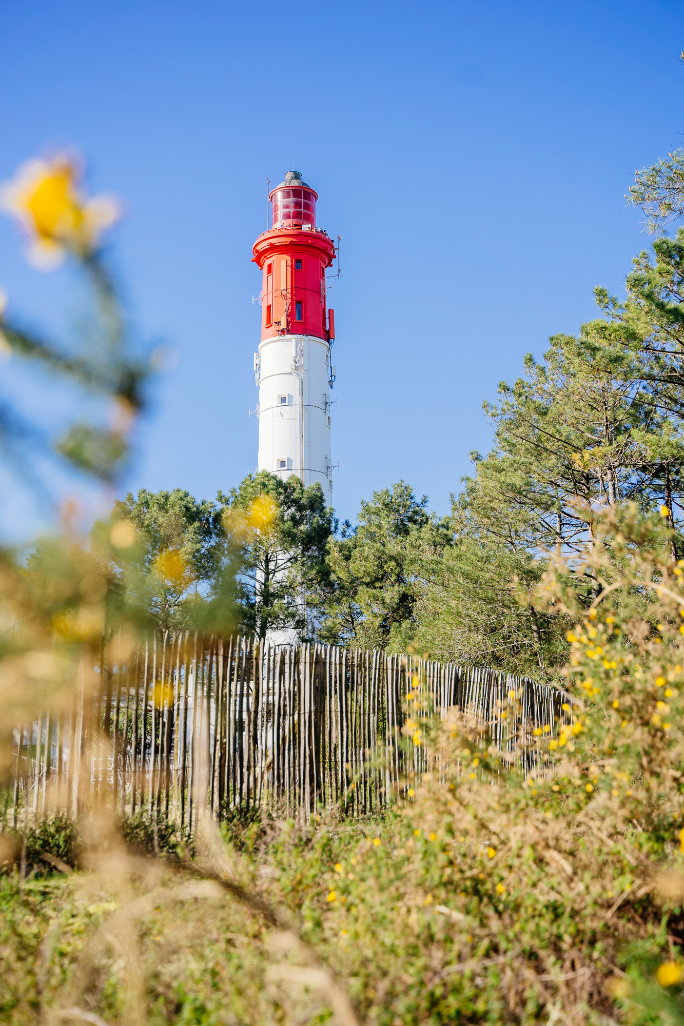 Le pointe du Phare en été qu'on aperçoit avec de la végétation tout autour.