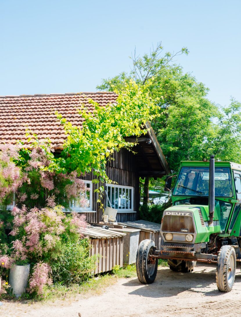 Une cabane ostréicole au Cap Ferret.
