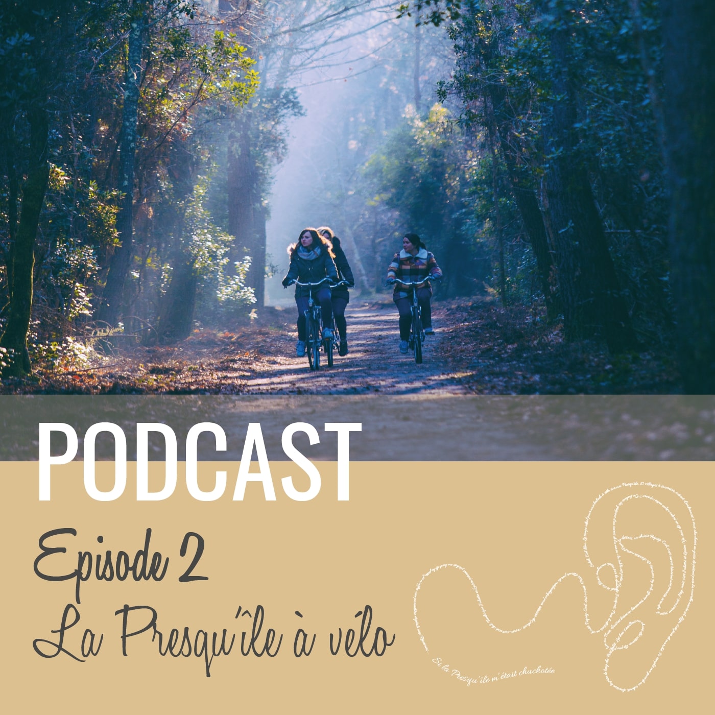 Podcast épisode 2, "La Presqu'ile à vélo", un groupe de femmes font du vélo sur la piste cyclable qui est dans la forêt en automne.