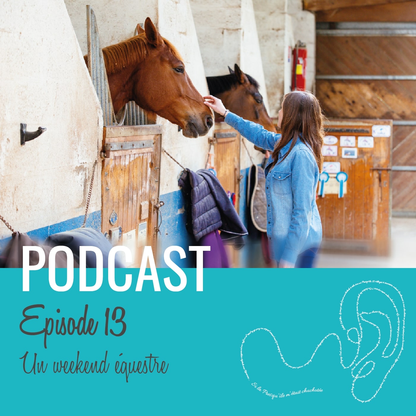 Podcast épisode 13 "un weekend équestre", une femme caresse un cheval dans un écurie.