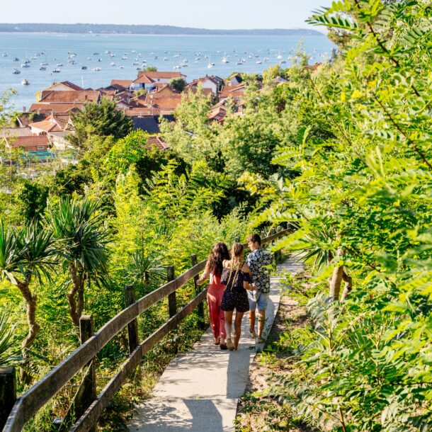 Vue sur le village de l'herbe où on voit des cabanes, la végétation et le Bassin en fond.