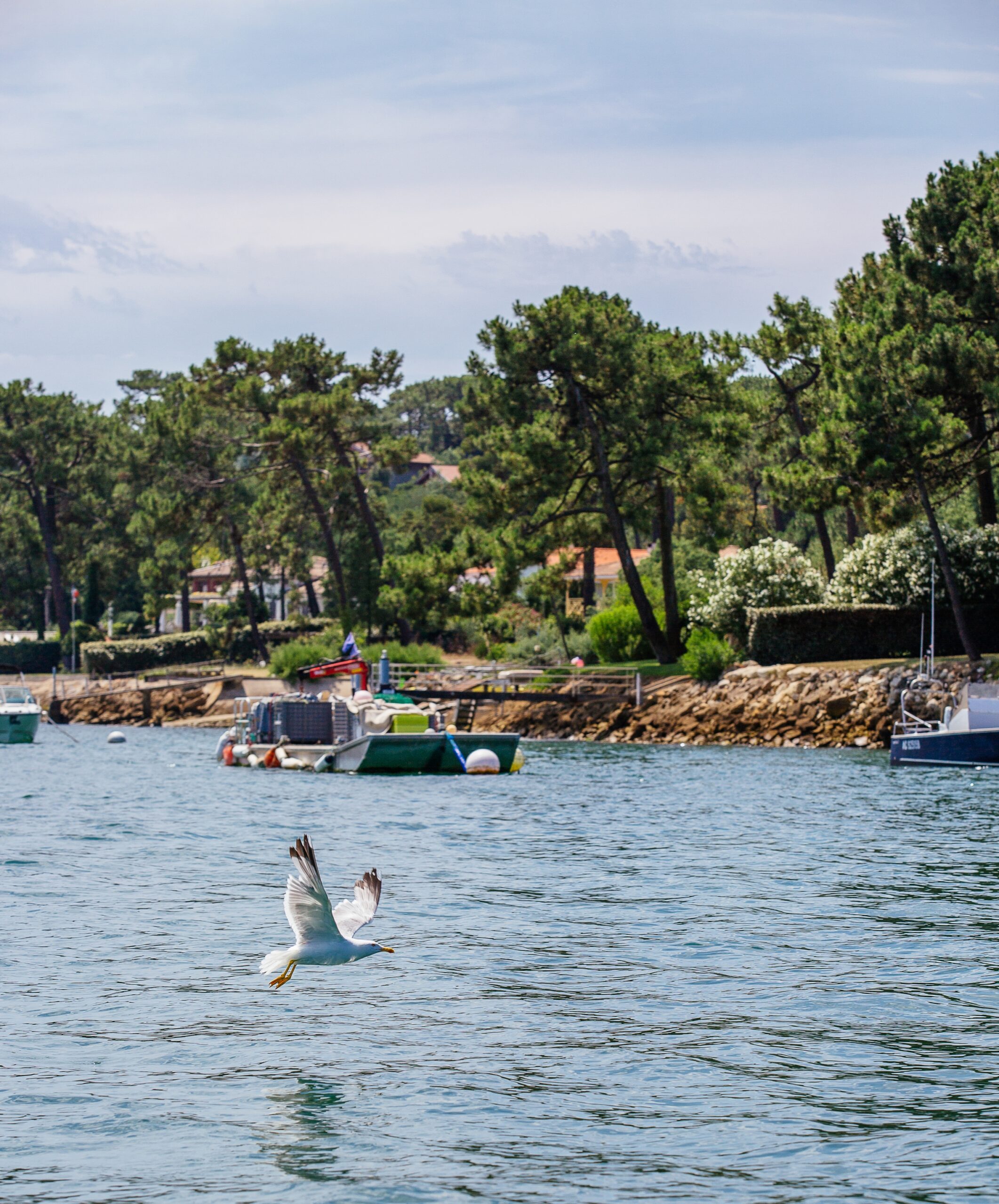 La plage de la Vigne à marée haute.