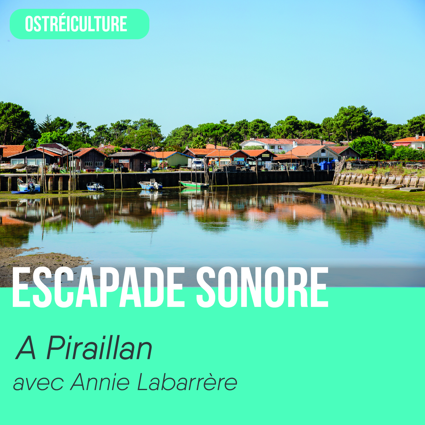 Escapade sonore "à Piraillan avec Annie Labarrère", Une vue sur les habitations qui sont au bord du Bassin à Piraillan.