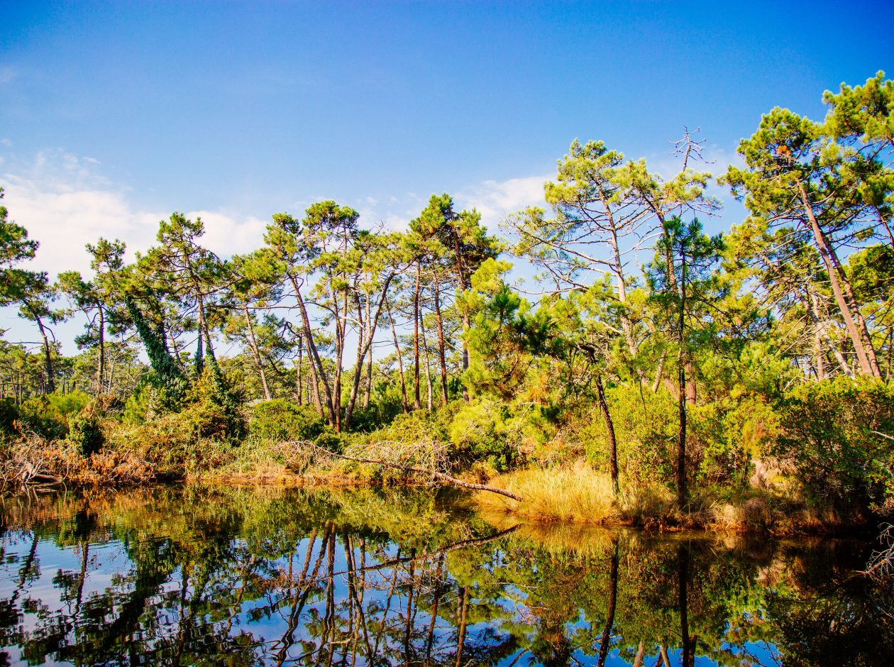Les réservoirs de Piraillan.