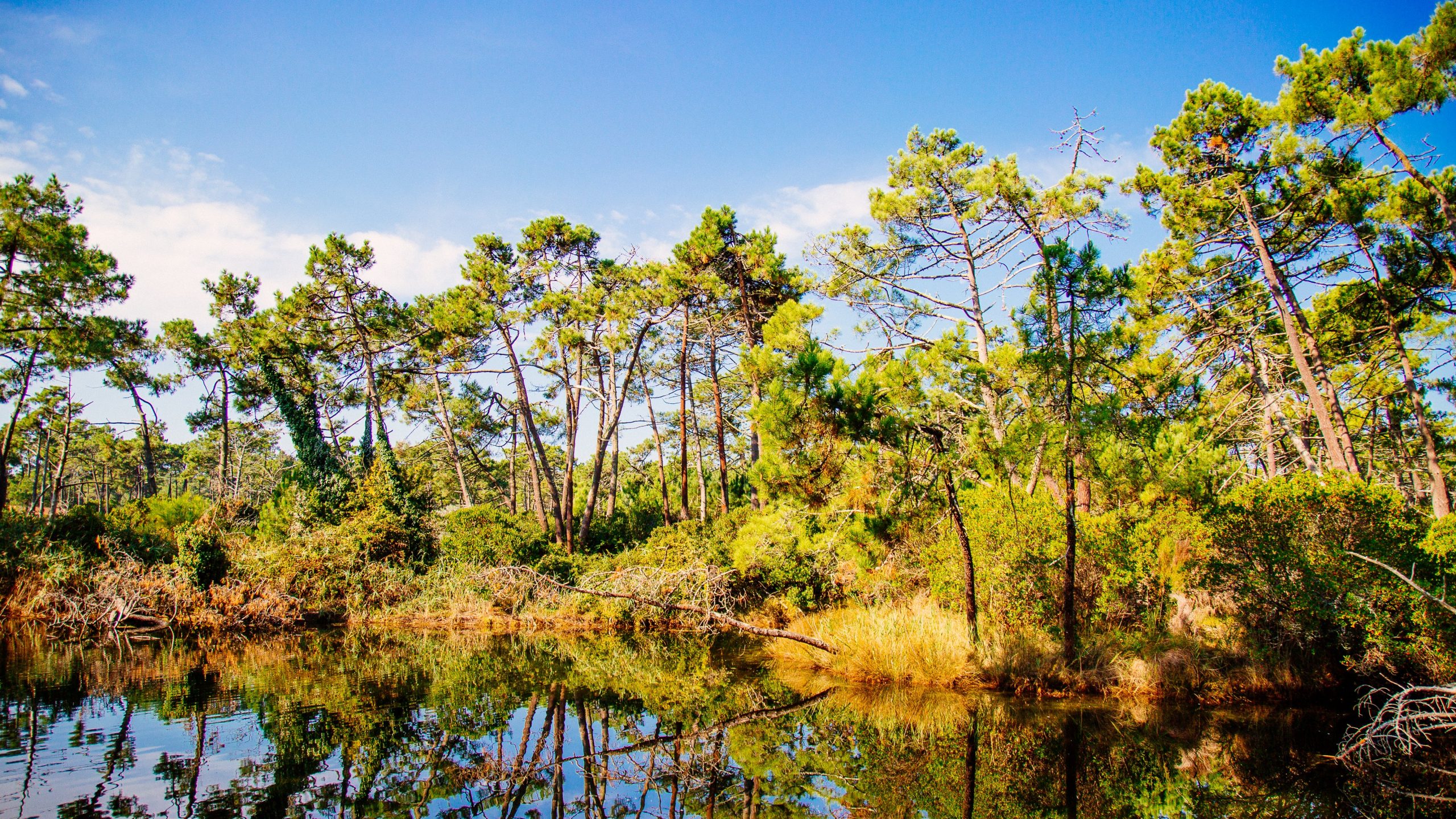 Les réservoirs de Piraillan.