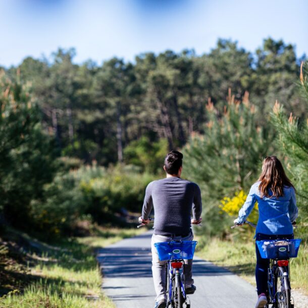 Balade en amoureux dans la forêt au printemps.