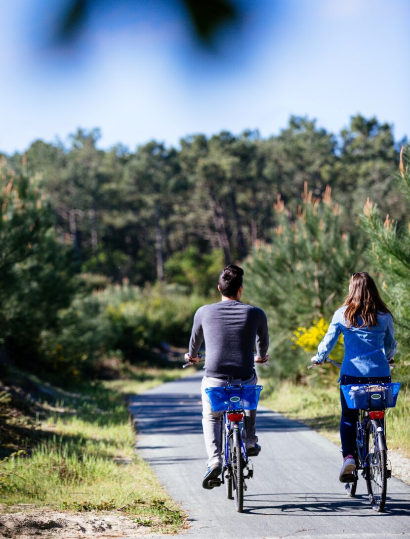 Balade en amoureux dans la forêt au printemps.