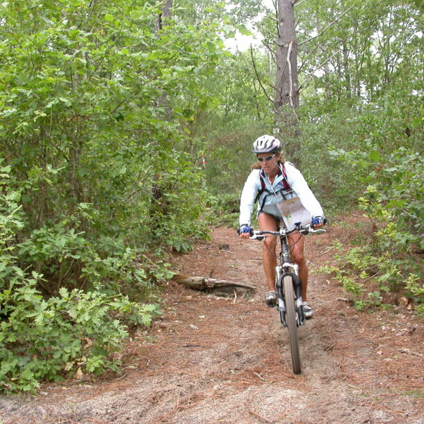 Balade à vélo en forêt
