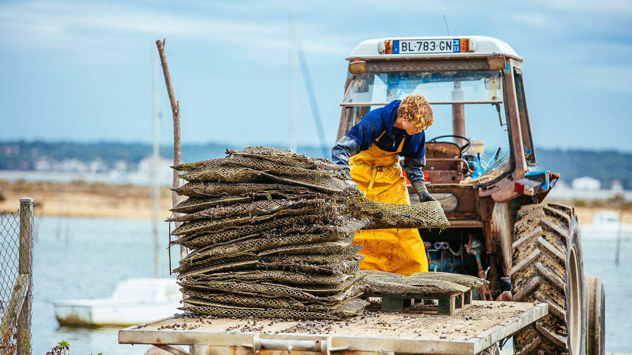 un homme sur son tracteur soulève des sacs d'huîtres, illustrant le savoir-faire ostréicole et les gestes traditionnels indispensables à la préservation de la qualité des huîtres.