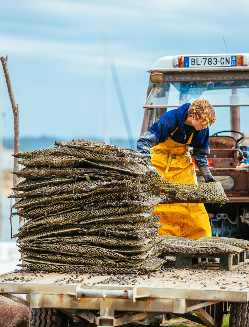 un homme sur son tracteur soulève des sacs d'huîtres, illustrant le savoir-faire ostréicole et les gestes traditionnels indispensables à la préservation de la qualité des huîtres.