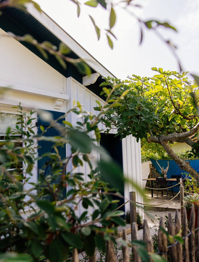 étoile de mer Lège-Cap Ferret