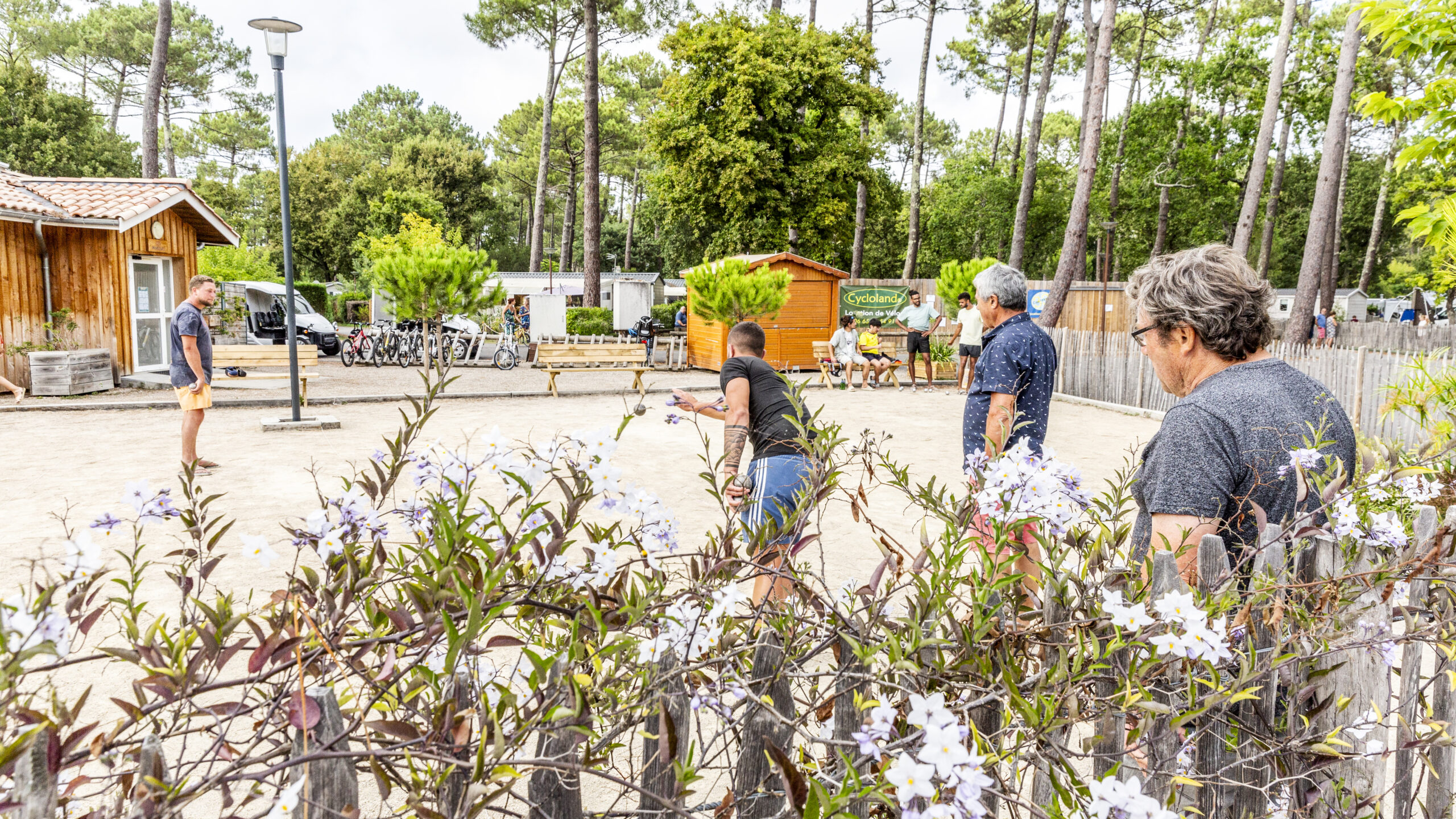Des joueurs en pleine partie de pétanque sur le terrain, concentrés sur leur lancer.