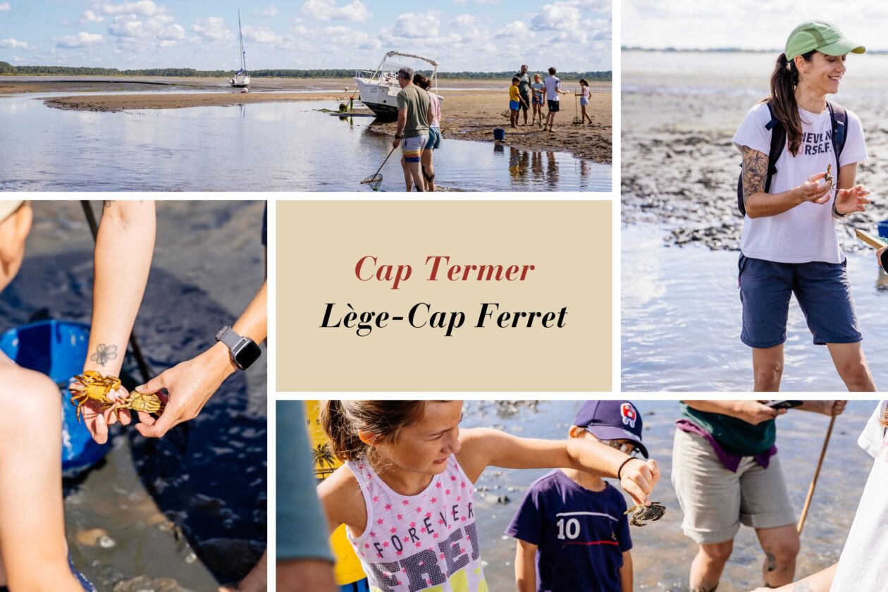 L'association Cap Termer vous fait découvrir la pêche à pied sur la Presqu'île