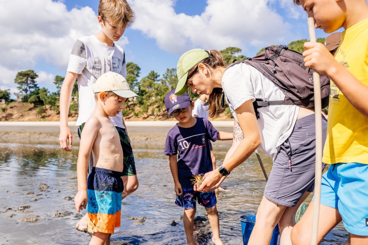 Découvrez les bestioles de l'estran à Lège-Cap Ferret !